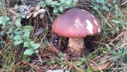 20181006_173738.jpg