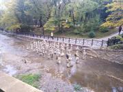 IMG_20211006_140333.jpg