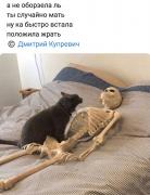 котэ.jpg