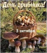 3ZjrEivcTEU728K7v1BgFwwUYETdp94jb0Cj2iZz8z4QcCgWKaL-J3eDyT18BV0TUu_GngWKLePja9d-OHPhaSsm.jpg