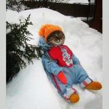 IMG_26456871941890.jpeg