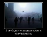 3947071_e619115b.jpg