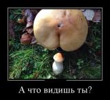 1414722249_1-19.jpg