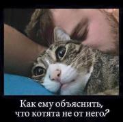 0_db828_592ae1a2_orig.jpg