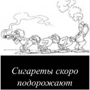 сигареты.jpg