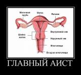 1283119248_52v2152.jpg