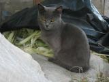 IMG_3391.jpg