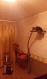 IMG_20141211_2017491.jpg