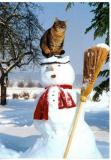 кот на снеговике .jpg
