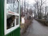 кот-контролер.jpg