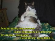 mernaya-lozhka-ne-mernyy-tazik-_1389352518.jpg