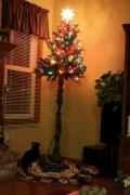 12-04-06-protecting-christmas-tree-from-dogs-cats-pets-5-585a660de18de__605.jpg