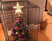12-03-26-protecting-christmas-tree-from-dogs-cats-pets-4-585a611c97b73__605.jpg